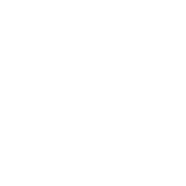 play icon
